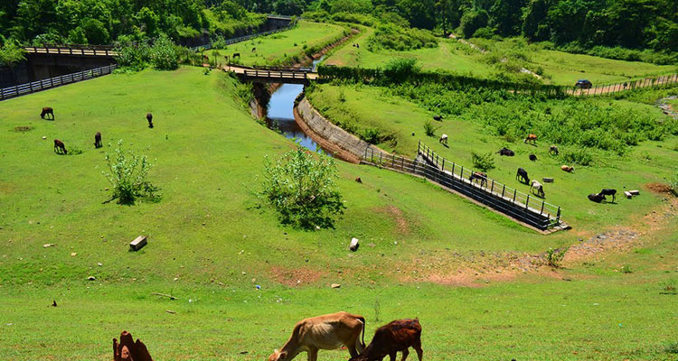 Coorg