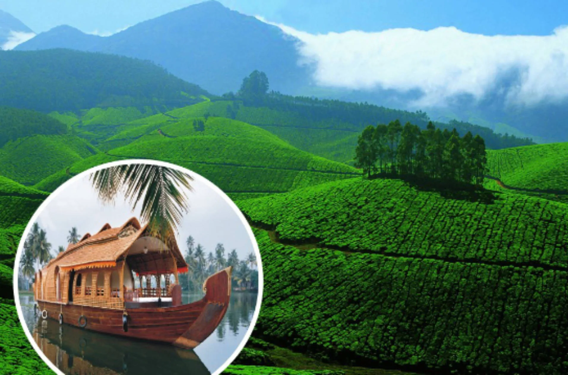Munnar — tour package in Kerala Tour Packages