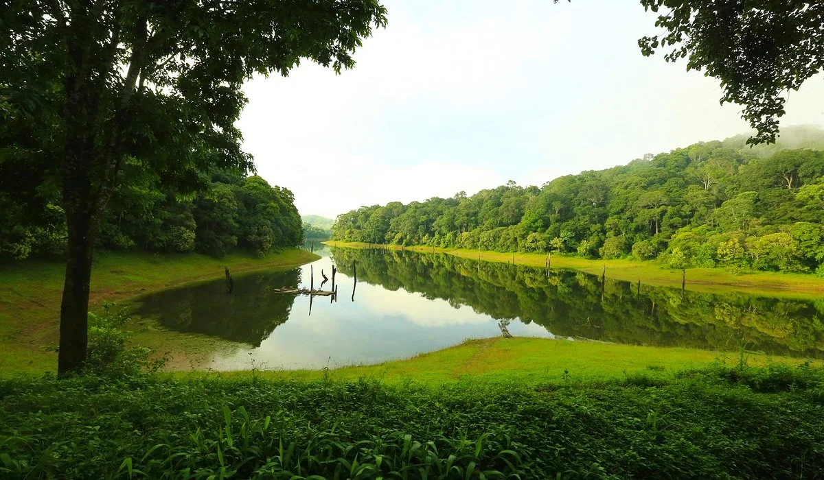 thekkady — tour package in Kerala Tour Packages