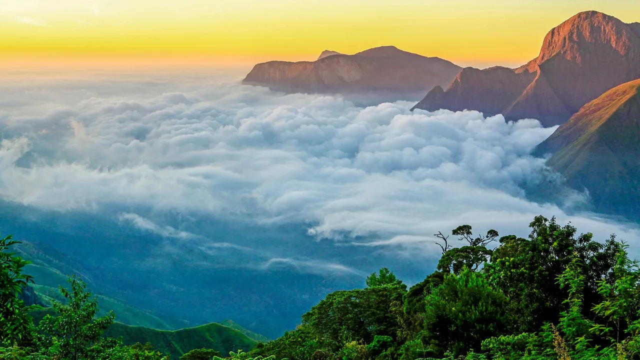 Munnar — tour package in South India Tour Package